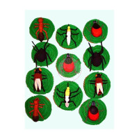 ANIMALS-Bugs - 24