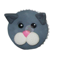 ANIMALS-Cats - 9