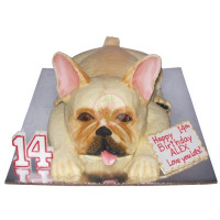 ANIMALS-Dogs-12