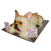 ANIMALS-Dogs-13