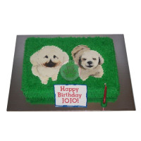 ANIMALS-Dogs-23