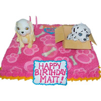 ANIMALS-Dogs - 25