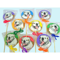 ANIMALS-Dogs - 35