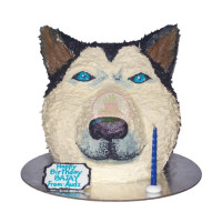 ANIMALS-Dogs-42