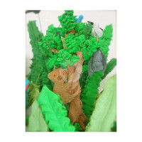 ANIMALS-Jungle - 036