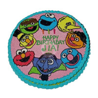 CHARACTER-Sesame Street - 24