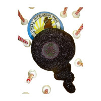 FOOD-Caviar - 1