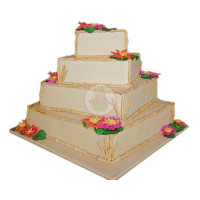 WEDDINGS-Bamboo - 1