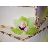WEDDINGS-Bamboo - 7