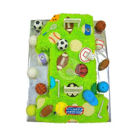SPORTS & HOBBIES-All-Sports - 09