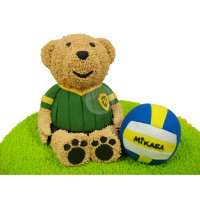 SPORTS & HOBBIES-Volleyball - 2