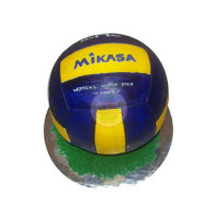 SPORTS & HOBBIES-Volleyball - 3