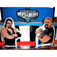 SPORTS & HOBBIES-Wrestling - 20