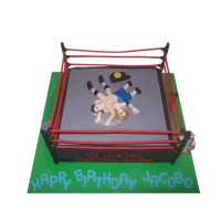 SPORTS & HOBBIES-Wrestling - 29