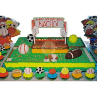 SPORTS & HOBBIES-All-Sports - 06