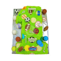 SPORTS & HOBBIES-All-Sports - 09